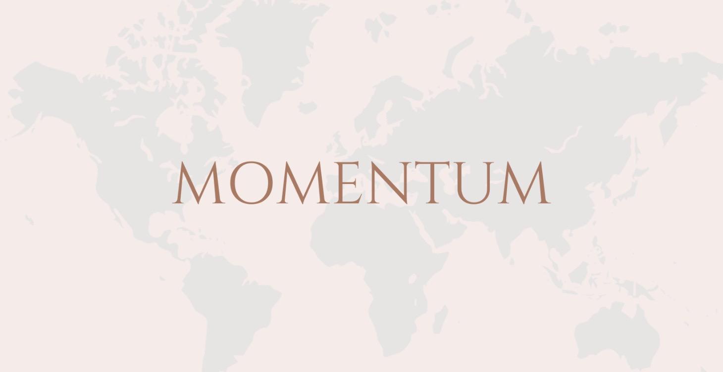 Momentum