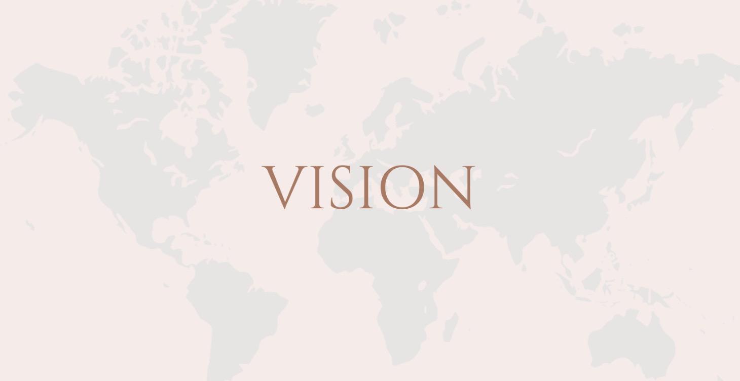 Vision