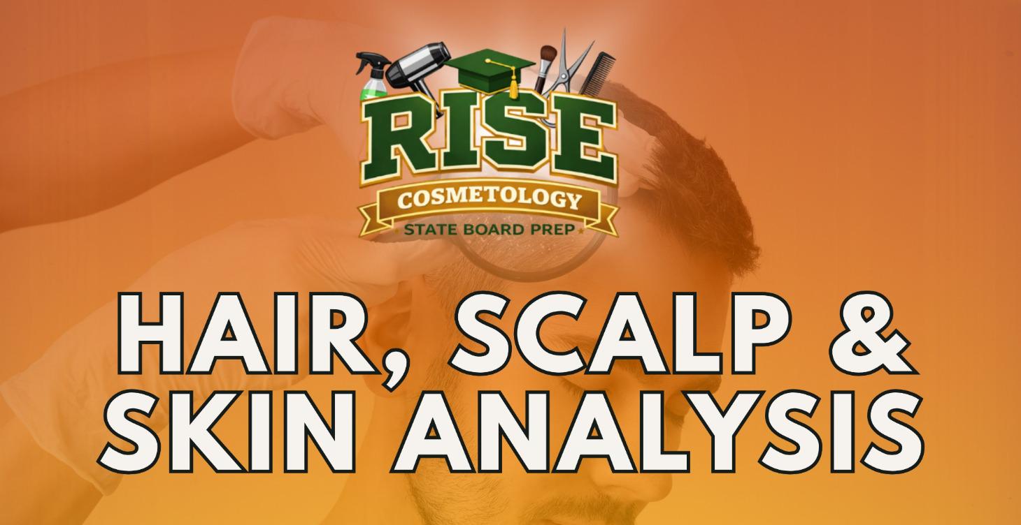 ✂️ HAIR, SCALP & SKIN ANALYSIS