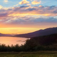 Alexa Z