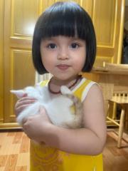 Nguyễn Thị Thanh Hải