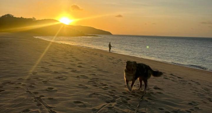 Australia - Life On The Road