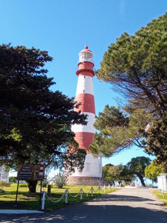 Beatriz Pais