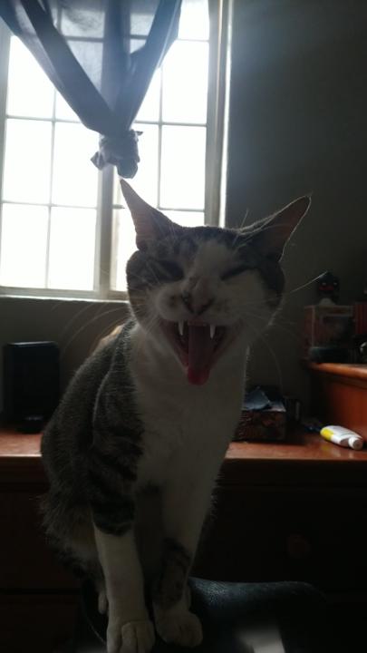 Emanuel Garcia Solano