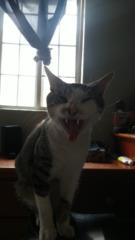 Emanuel Garcia Solano