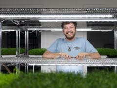 The Conscious Cultivators Microgreens