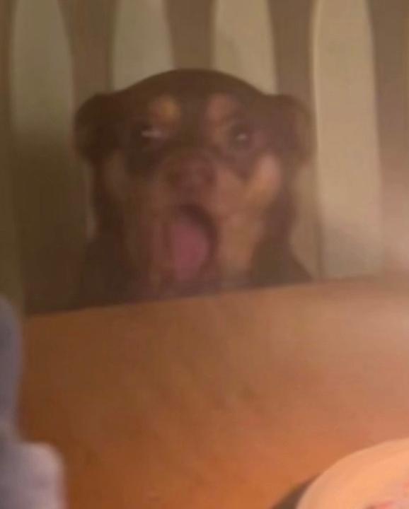 Arl Amit Libre Kumar