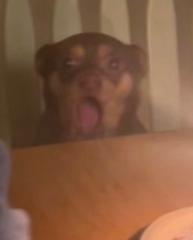 Arl Amit Libre Kumar