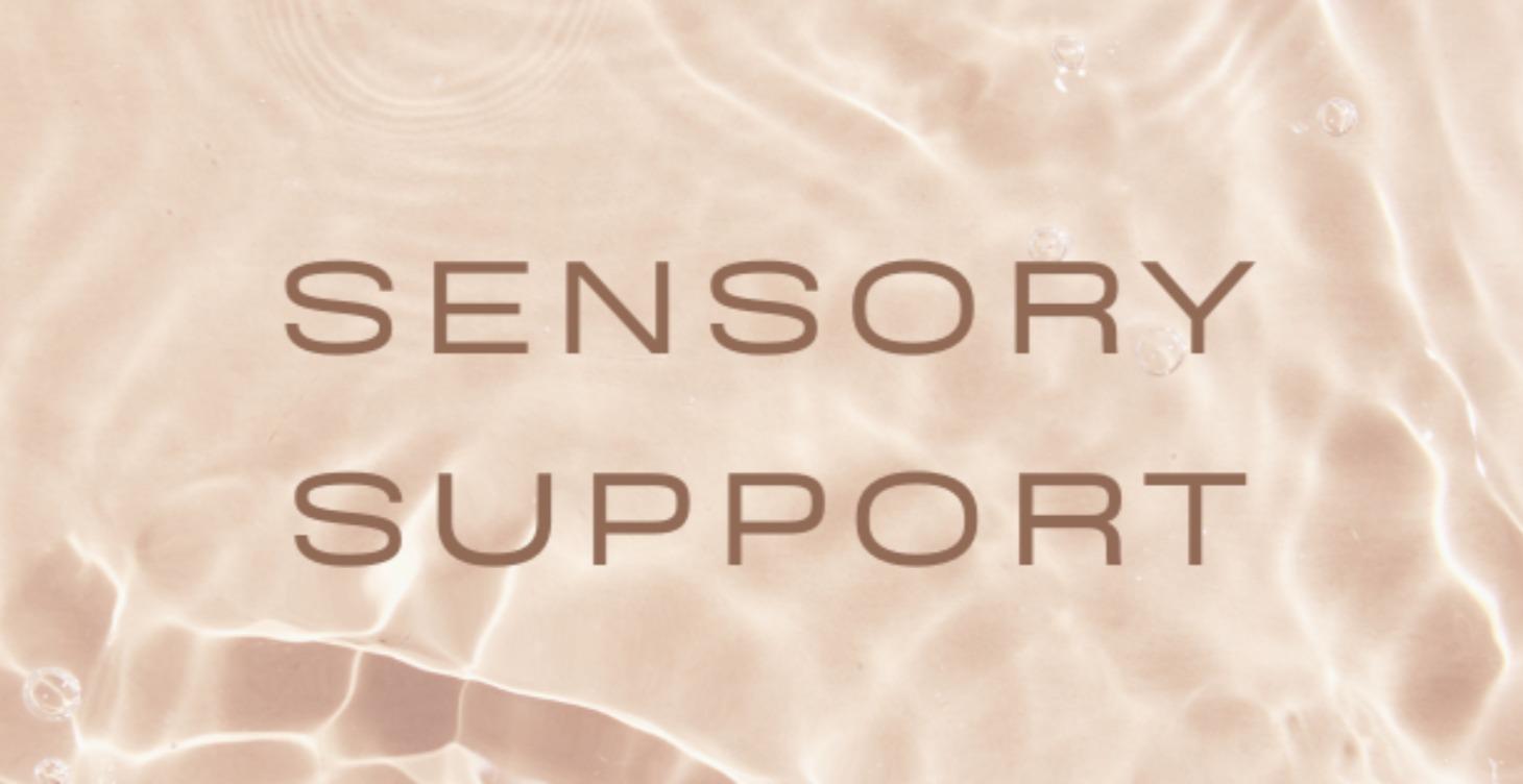 What Is Sensory Processing?