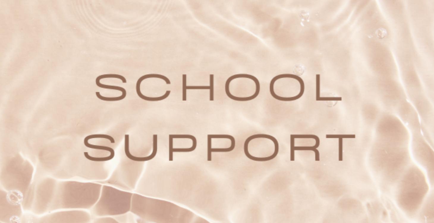 CSE: Navigating School-Age Special Education