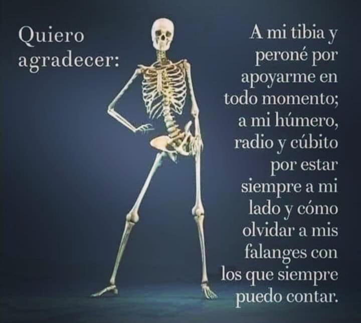 Movimiento Humano 🥰 