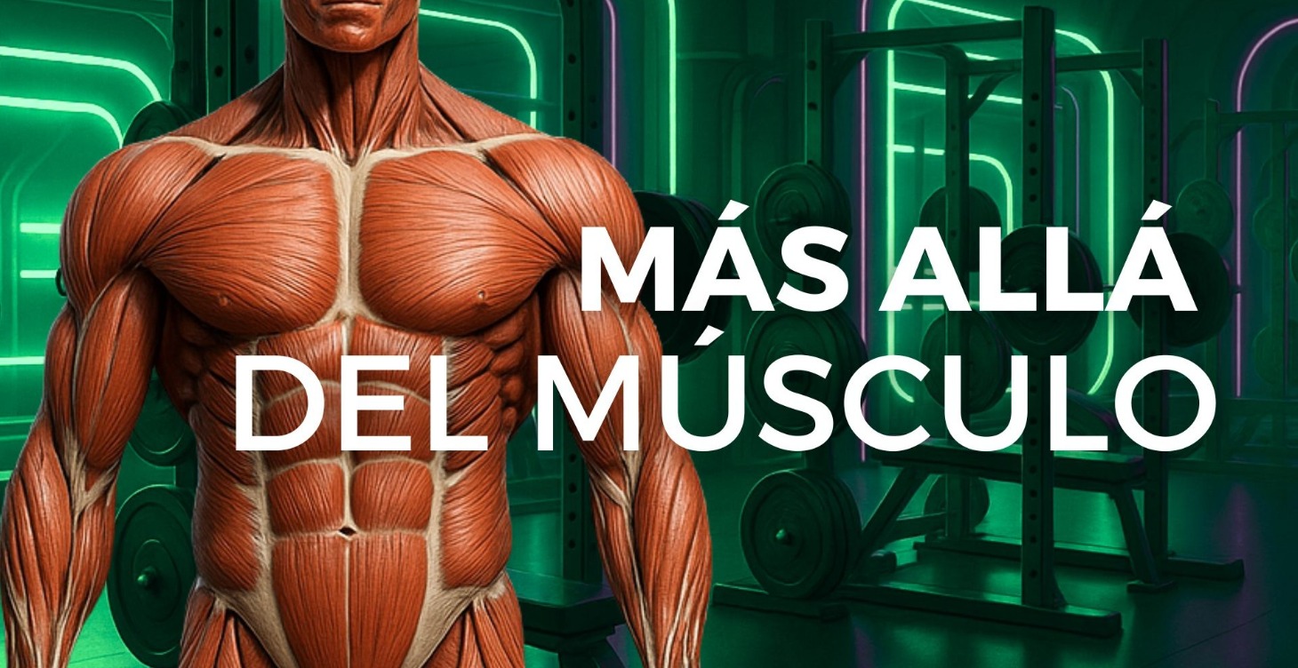 Más Alla del Músculo