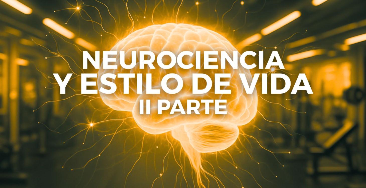 Neurociencia y estilo de vida. segunda parte