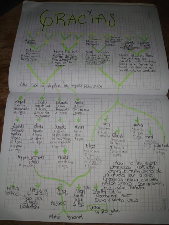 Árbol genealógico 