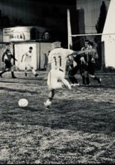 Ortiz Michel