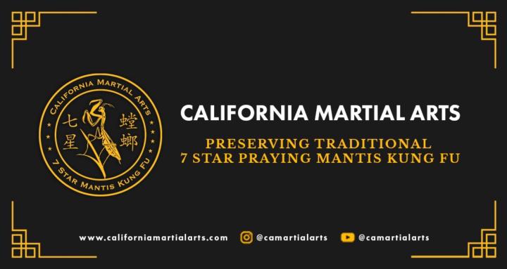 7 Star Praying Mantis Kung Fu