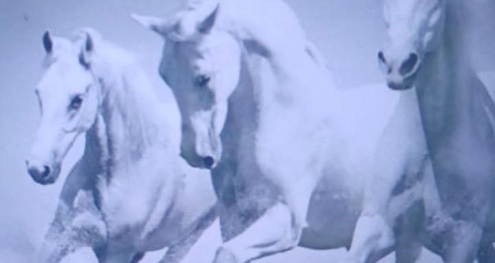 Prayers&spiritual counselling