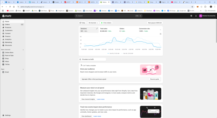 $1,000 Day on Shopify