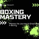 BOXING MASTERY