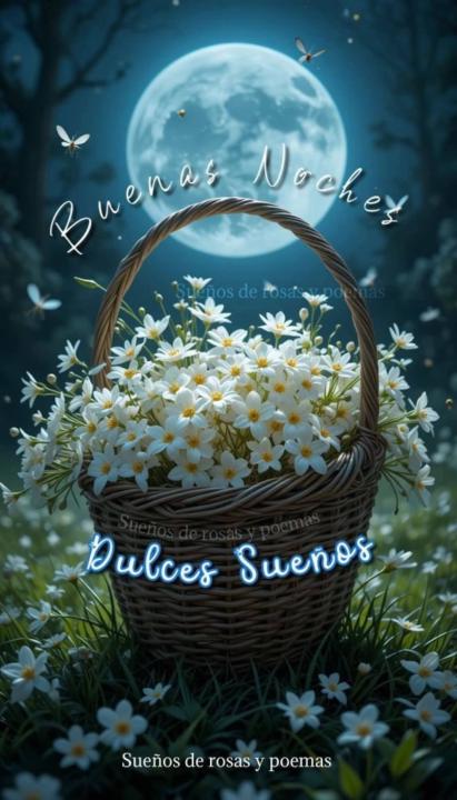 Ginny Eloisa Hernandez P