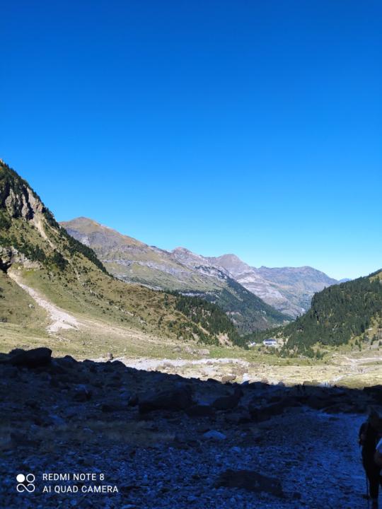 Mejjati Taous