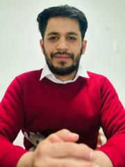 Hamed Hassand