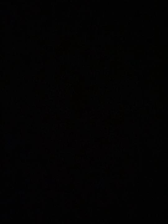 Paula Emilia Seliger