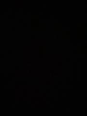 Paula Emilia Seliger