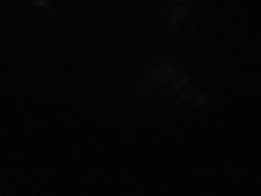 Lefa The trillionaire