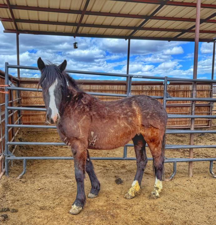 Meet Freya at 6:00 PM Mountain Time