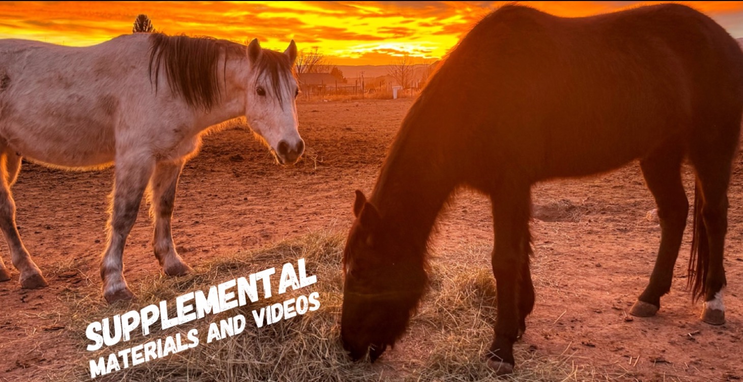 Supplemental Materials and Videos