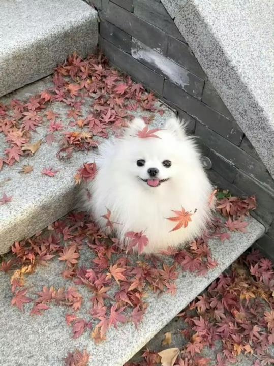 方 麗涵