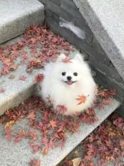 方 麗涵