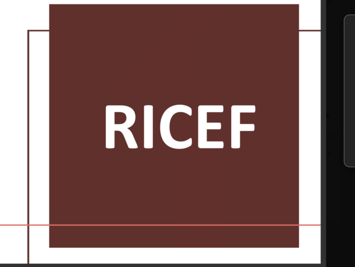 ¿Qué te pareció el workshop de RICEF?