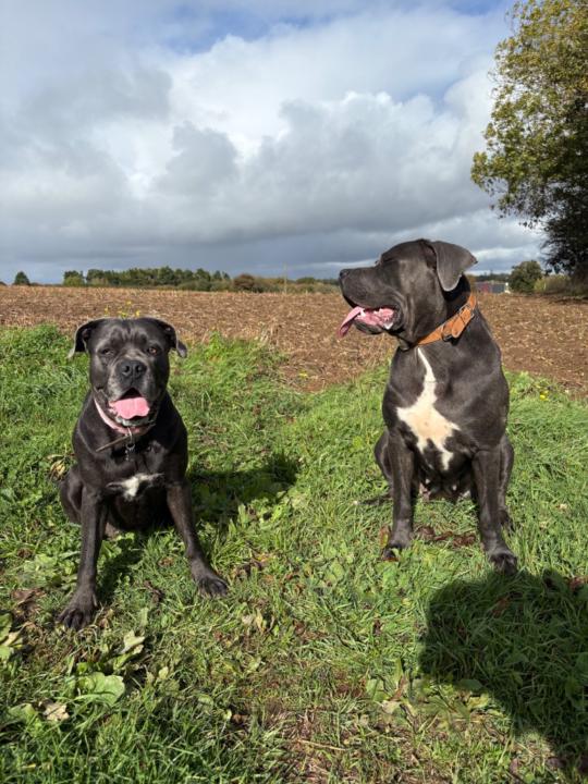 Frederique Rodriguez