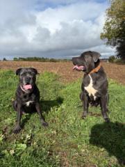 Frederique Rodriguez