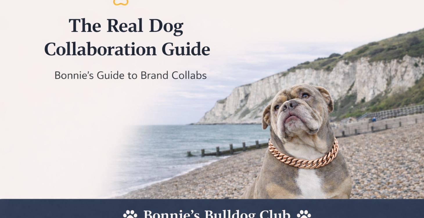 The Real Dog Collaboration Guide