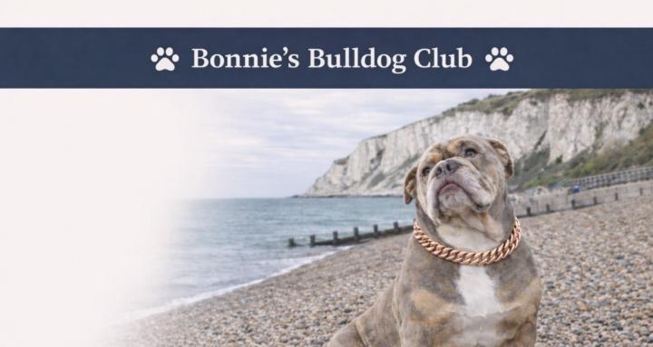 Bonnie’s Bulldog Club