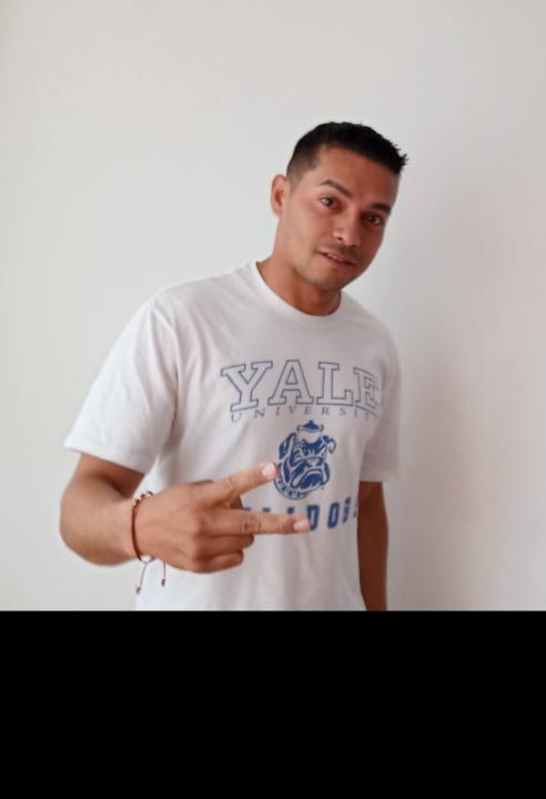 Rafael Andrés Villamizar Barreto