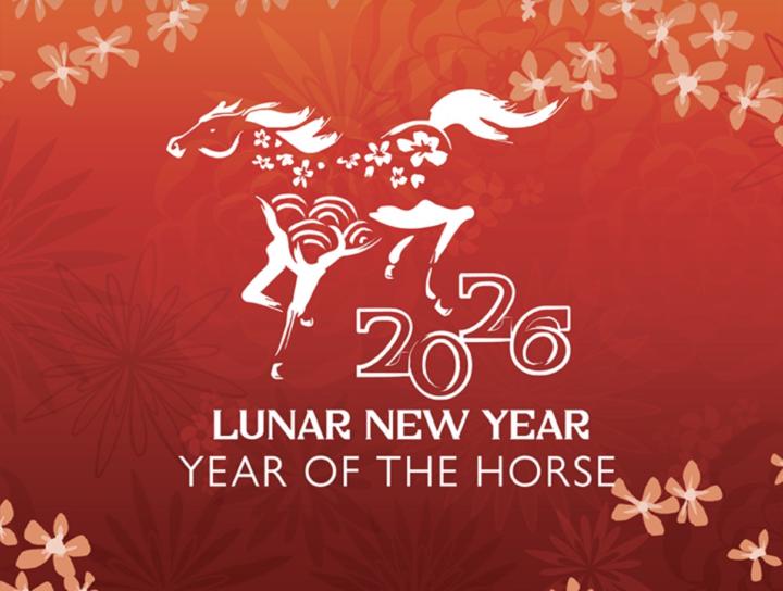 Happy Lunar New Year! 🔥🐴