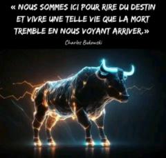 Widnot Francois