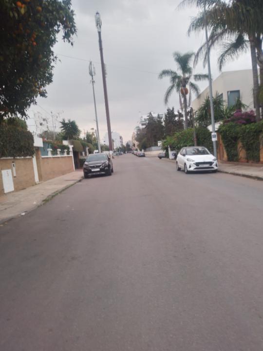 Yassine Mounache