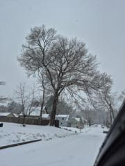 Sonia Damaris Quiles