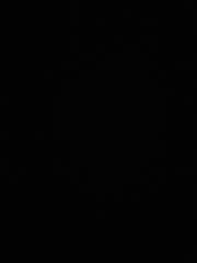 Sonia Damaris Quiles