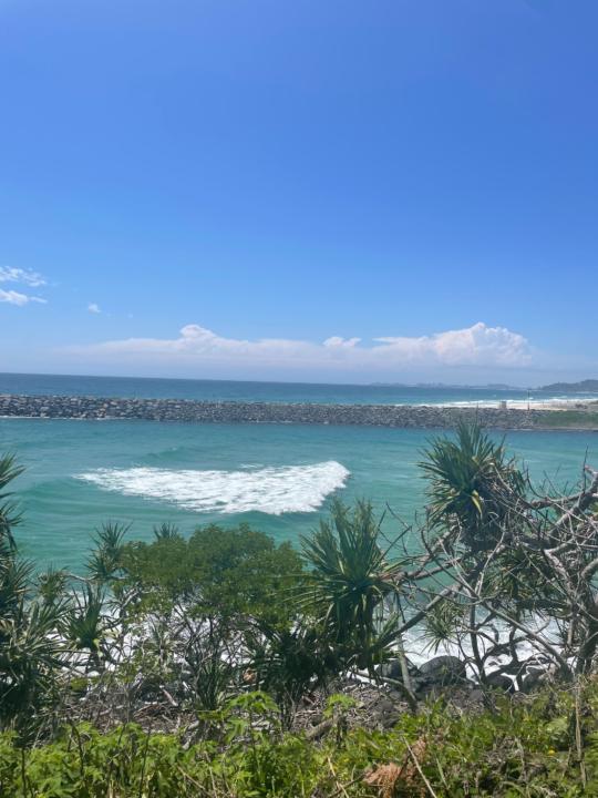 Holly Avenell