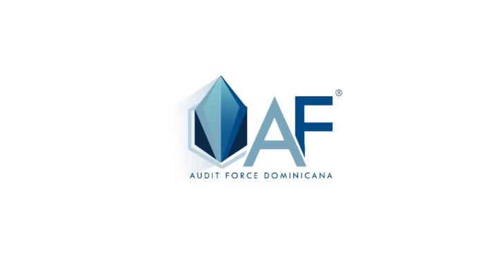 Audit Force