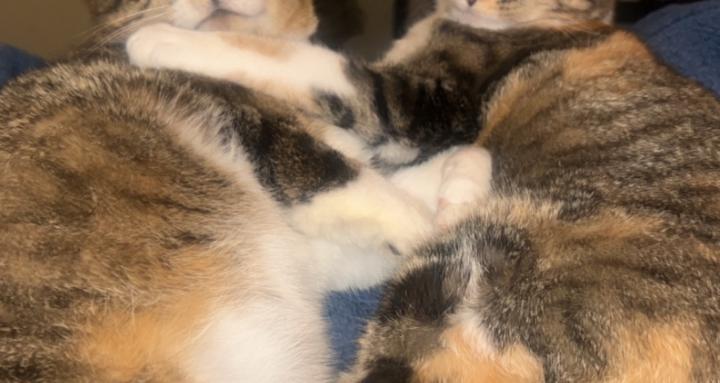 99/1; Sobriety & Jesus