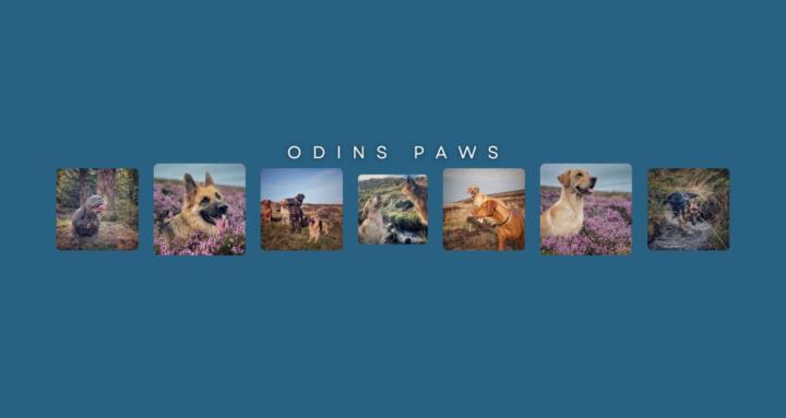 Odins Paws