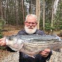 Fishing for Hybrid Stripers icon