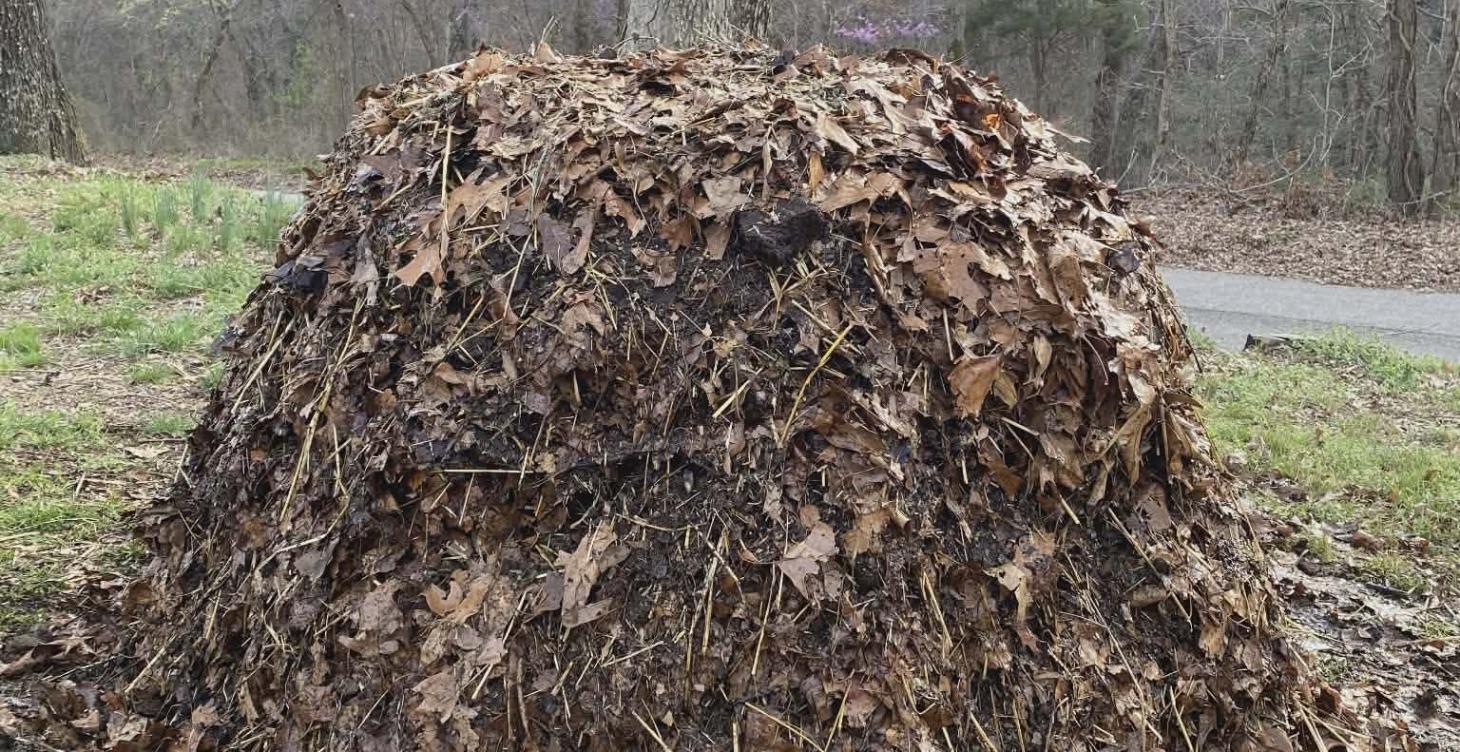 HOT compost to SOIL in 14 days!